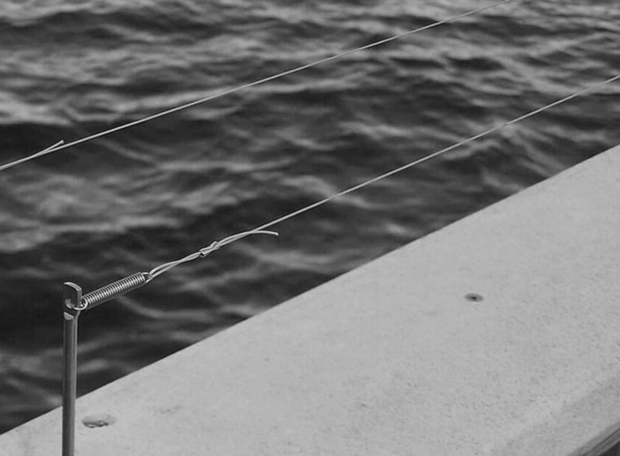 Bird Repellent & Proofing Case Study